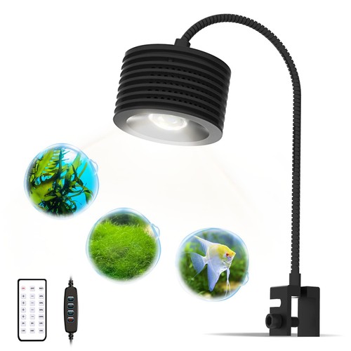 Lominie 20w full - full, led