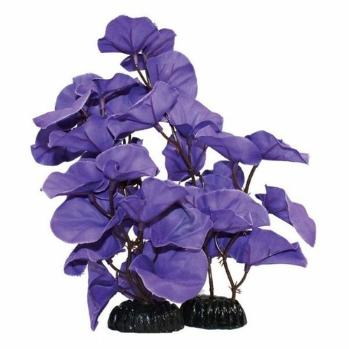 Aquarium artificial water - aquarium,