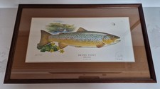 Robin ade brown trout print - brown,