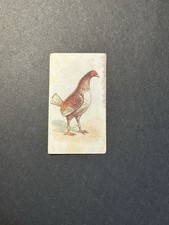 Fighting Cocks Cigarette Card (no 9)  Game Fowl