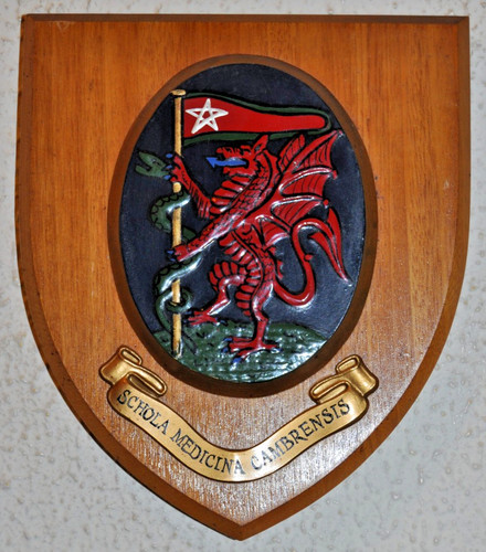 Welsh school medicine - welsh,