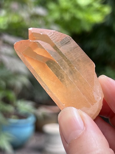 Tangerine lemurian seed - lemurian,