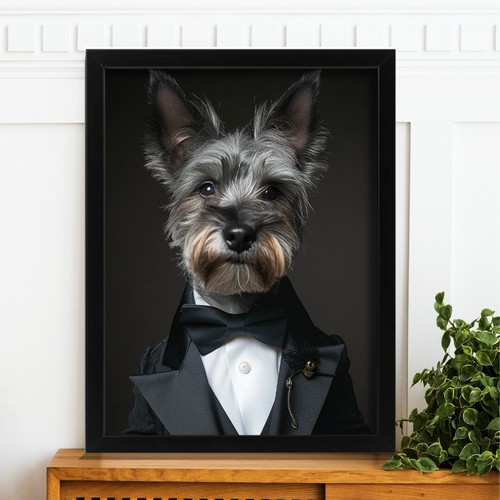 Elegant yorkshire terrier - elegant, in