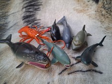 Lobster Shark Dolphin Whale