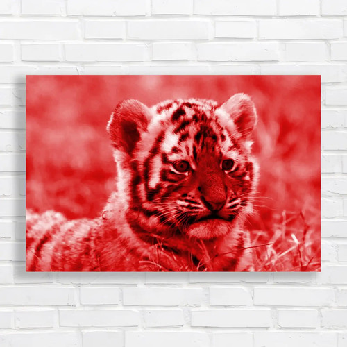 Cute siberian tiger cub - tiger, red