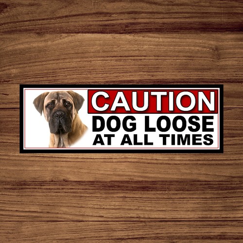 Bullmastiff caution dog loose - caution,