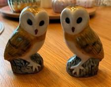 Quail Ceramics Barn Owl Cruet Set Salt and Pepper Shakers