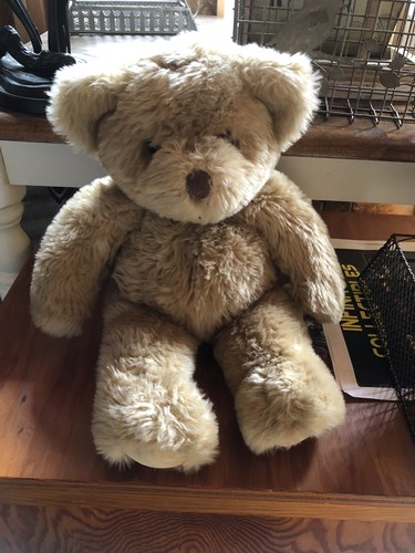 Fao schwarz teddy bear fifth - fao,