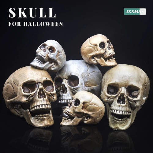 Realistic plastic skull head - plastic,