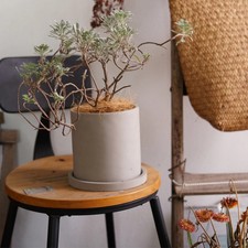 Cylindrical Concrete Planter Plant Pot with Drainage Tray Indoor Garden Planter