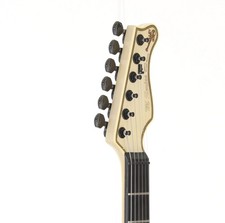 Valley Arts M-Series TL Type