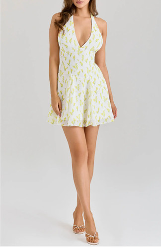 House iris floral - cb,