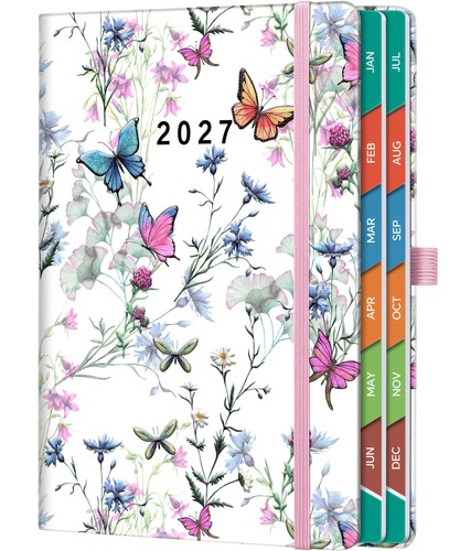 2027 daily diary - 2027, page