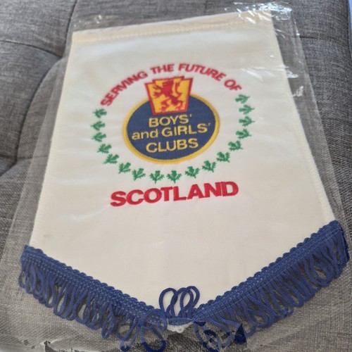 Serving the future scotland - the,