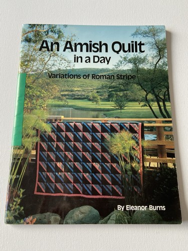Amish quilt day - amish, by
