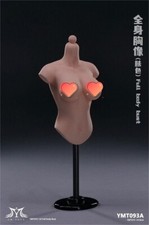 YMTOYS 1/6 YMT093A Suntan Skin
