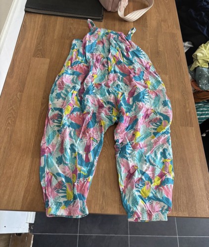 Next tropical birds summer