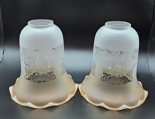 Frosted floral etched - 2,