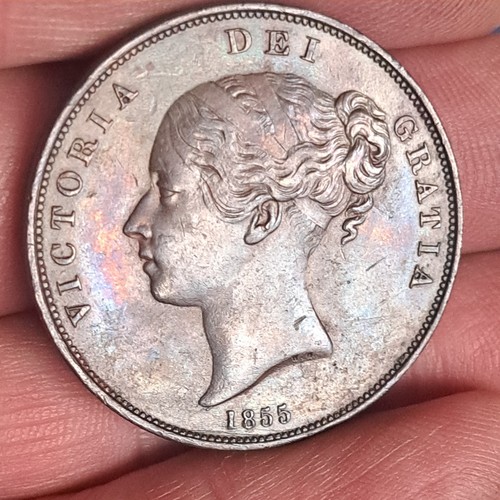 1855 penny - 1855,