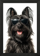 Cool Skye Terrier Dog with