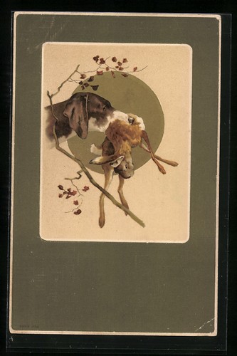 Hunting dog retrieves - , a