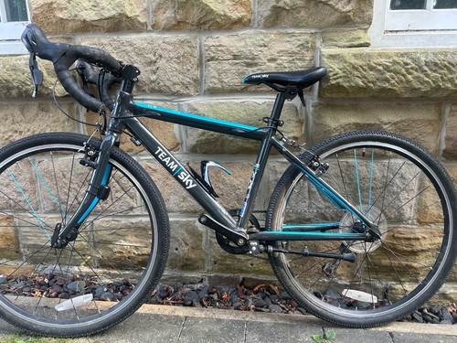 Frog team sky - frog,