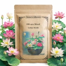 100+ Mixed Lotus Seeds for