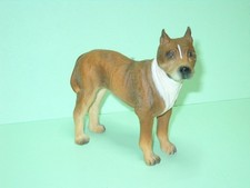 American Pitbull Terrier Dog