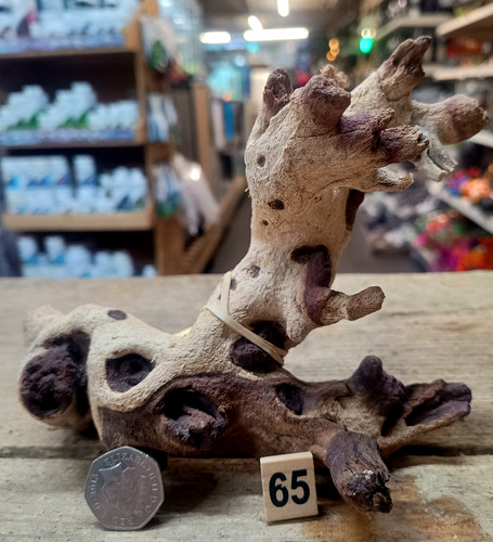Small medium mopani wood - small/medium,