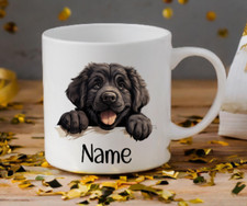 Newfoundland Dog Peeping Puppy