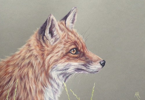 Fox original painting by - -,