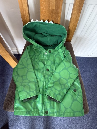 Boys girls dinosaur - dinosaur, coat