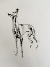 Original signed Ink sketch of