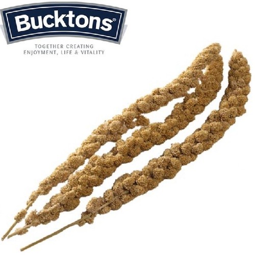Bucktons millet spray - bucktons,