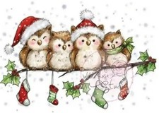 Wild Rose Studio Owls On