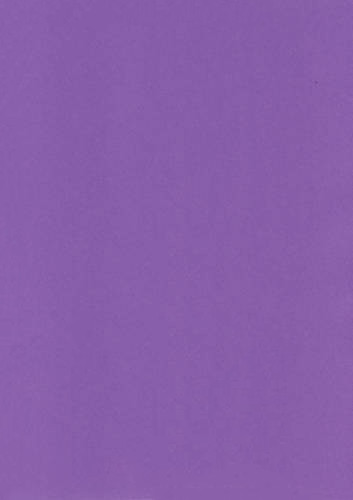 100 deep purple colour 80gsm - 100,