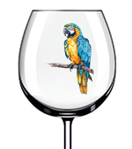 12x blue gold macaw - 12x, parrot