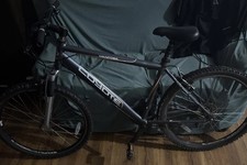 coyote men’s mountain bike