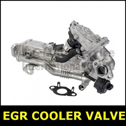 Egr cooler valve for - valve,