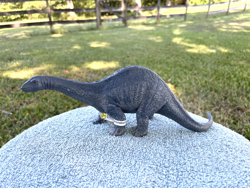 Apatosaurus dinosaur toy - dinosaur,
