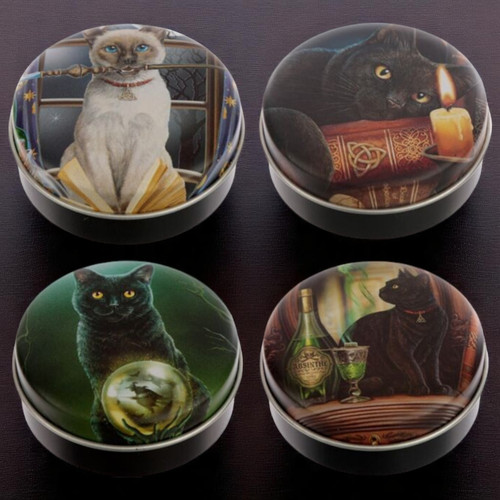 Lisa parker magical cats - lisa,