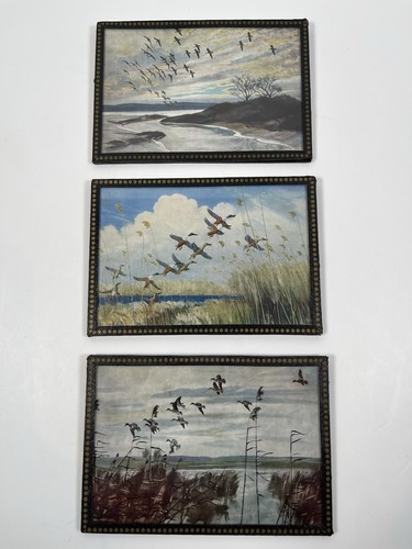 Peter scott set small - peter,