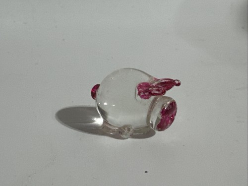 Pot belly pig - pot, glass