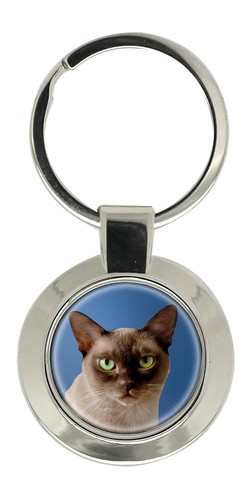 Burmese cat key - burmese,