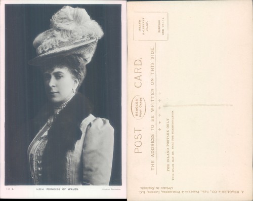 Princess wales portrait - of,