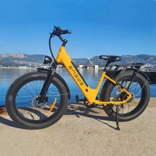 Electric bike 250w - bike, 48v