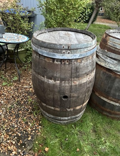 Whiskey oak barrels - oak,