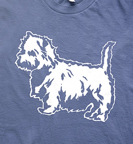 Westie terrier eastfield - westie, class