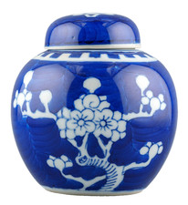 Chinese Porcelain Ginger Jar