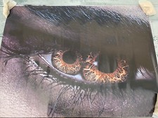 MUMMY ADVANCE MOVIE CINEMA